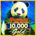 Panda Gold 10,000 game cover