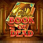 Book of Dead game thumbnail
